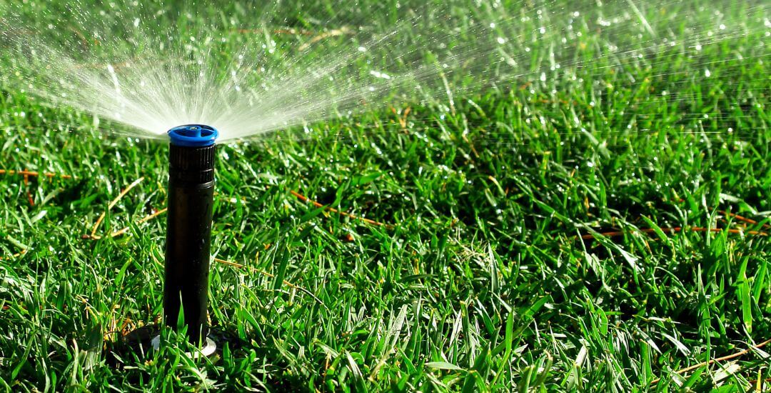 hangakerteszet.hu - kertészeti webáruház