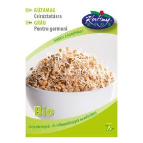 Búzamag - csíráztatásra
