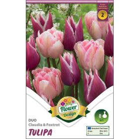 Duo tulipán Claudia és Foxtrot - 8 db/csomag