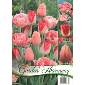 Rózsaszín tulipán kollekció - 3*5 db/csomag
