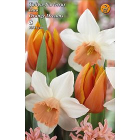 Tulipán és nárcisz Orange Dreams mix - 6 db/csomag