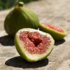 Dalmát füge - Ficus carica 'Dalmatie'