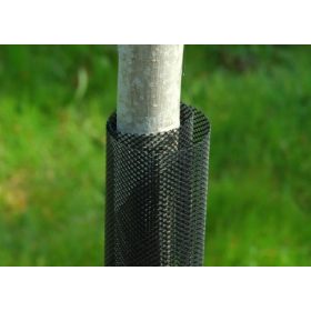 Fatörzsvédő háló