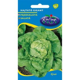 Hajtató Gigant fejessaláta