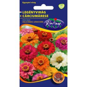 Legényvirág - Zinnia elegans