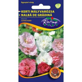 Kerti mályvarózsa - Alcea rosea