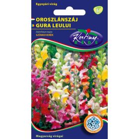 Oroszlánszáj - Antirrhinum majus
