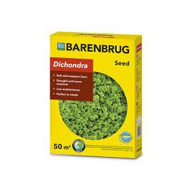 Barenbrug Dichondra 0,5 kg - kúszó pázsitszulák