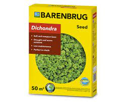 Barenbrug Dichondra 0,5 kg - kúszó pázsitszulák