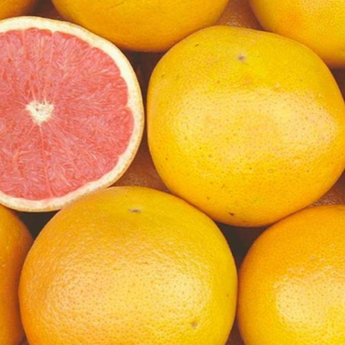 Rózsaszín húsú grapefruit - Citrus × paradisi  