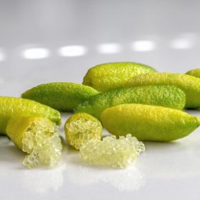   Ausztrál citrom - Citrus australasica 'Microcitrus'