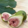 Füge – Ficus carica ‘Brogiotto Bianco’