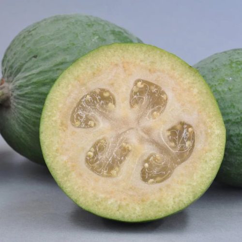 Mirtuszdió - Feijoa sellowiana