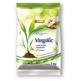 Vasgálic 