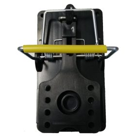 Classic patkányfogó