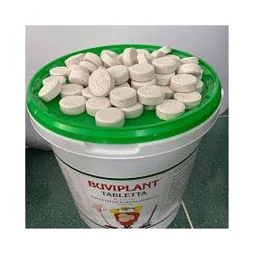 Buviplant tabletta, 10 db