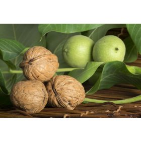 Milotai 10 dió - szabadgyökerű