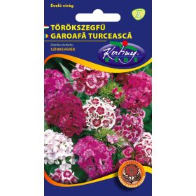 Törökszegfű - Dianthus barbatus