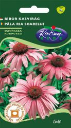 Bíbor kasvirág - Echinacea purpurea