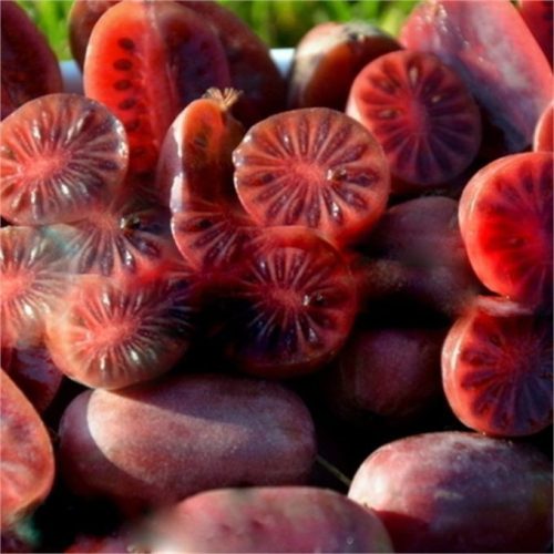 Piros mini kiwi - Actinidia arguta 'Purpurna Sadowa'