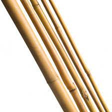 Bambusz karó