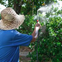 Növényvédőszerek