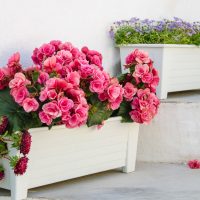 Virágládák, cserepek, kaspók