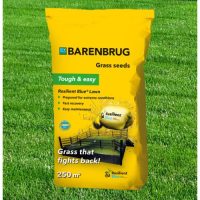 Barenbrug termékek